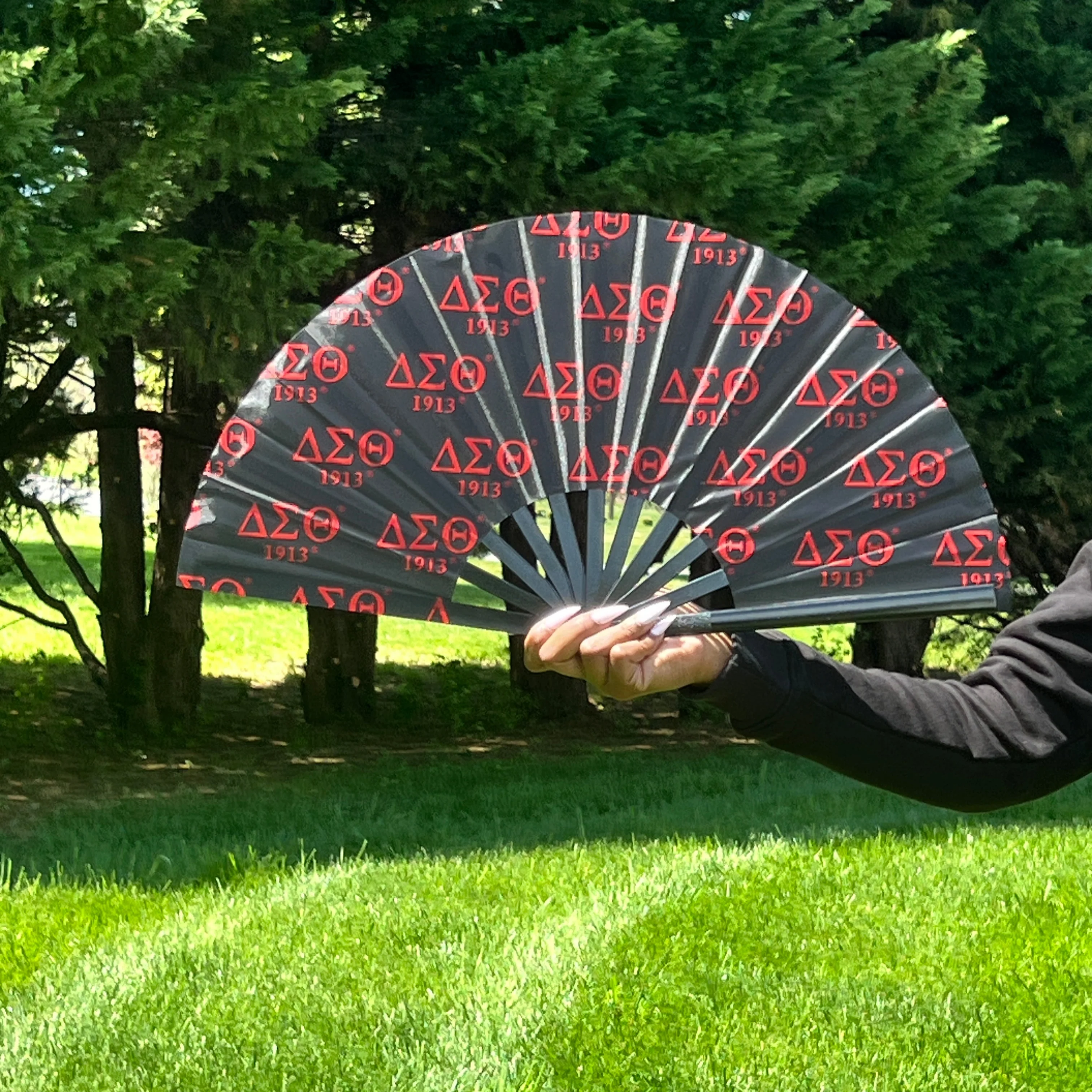Delta Sigma Theta Fan - Image 3